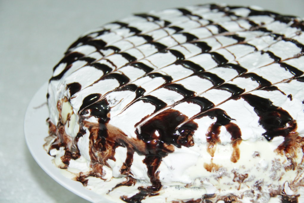 Chocolate Ice Cream Cake