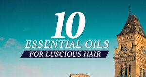 10 Essential Oils for Luscious Hair | Empress Market