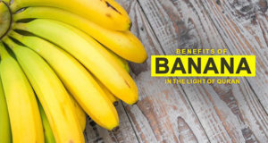 Benefits of bananas in the Light of Quran