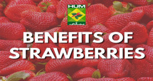 Benefits of Strawberries