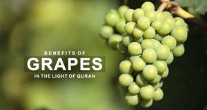 Benefits of Grapes in the Light of Quran