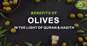 Benefits of Olives in the Light of Quran & Hadith