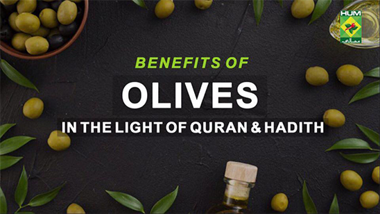 Benefits of Olives in the Light of Quran & Hadith