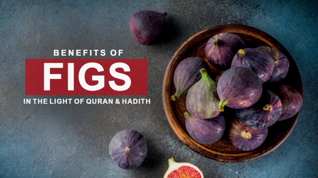 The Prophet Muhammad (SAWW) said: “Eat figs! If I would say a certain type of fruit was sent down to us from the heavens I would say it’s a fig because it has no seeds.