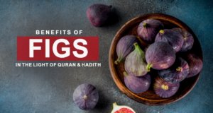 The Prophet Muhammad (SAWW) said: “Eat figs! If I would say a certain type of fruit was sent down to us from the heavens I would say it’s a fig because it has no seeds.