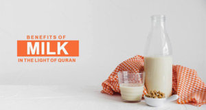 Benefits of Milk in the Light of Quran