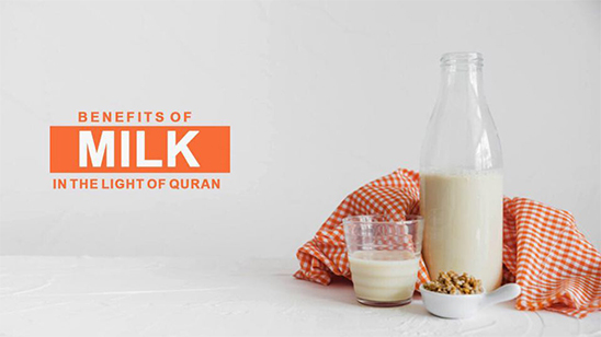 Benefits of Milk in the Light of Quran