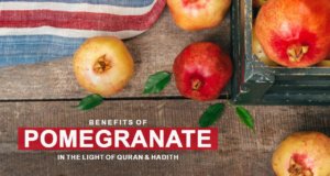 Benefits of Pomegranate in the Light of Quran