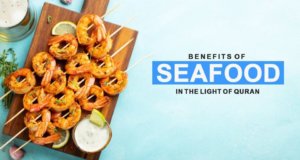 Benefits of Seafood in the Light of Quran