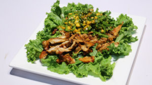 Chicken Salad with Mango Salsa Recipe | Food Diaries