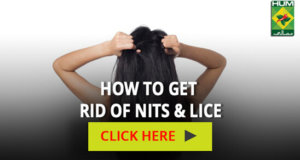 How To Get Rid Of Nits & lice