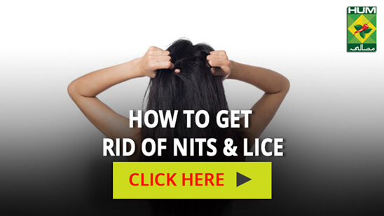 How To Get Rid Of Nits & lice
