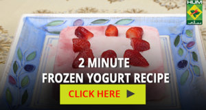 2 Minute Frozen Yogurt Recipe | Totkay